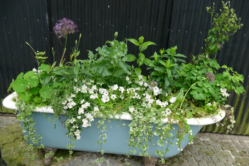 Old Barrack House Garden